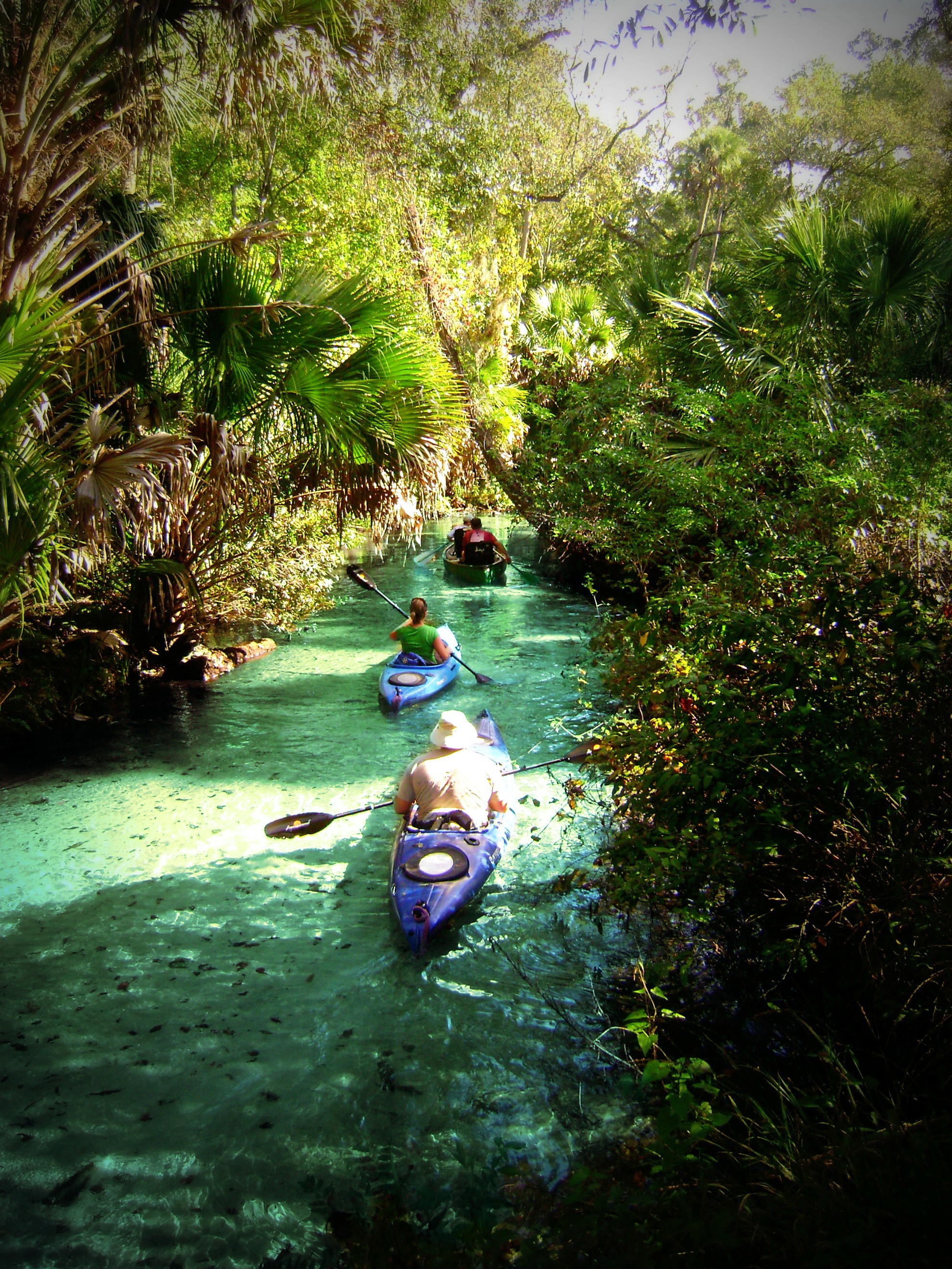 Juniper Springs | Exploration Florida